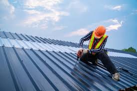 Best Roof Maintenance and Cleaning  in Chevy Chase View, MD